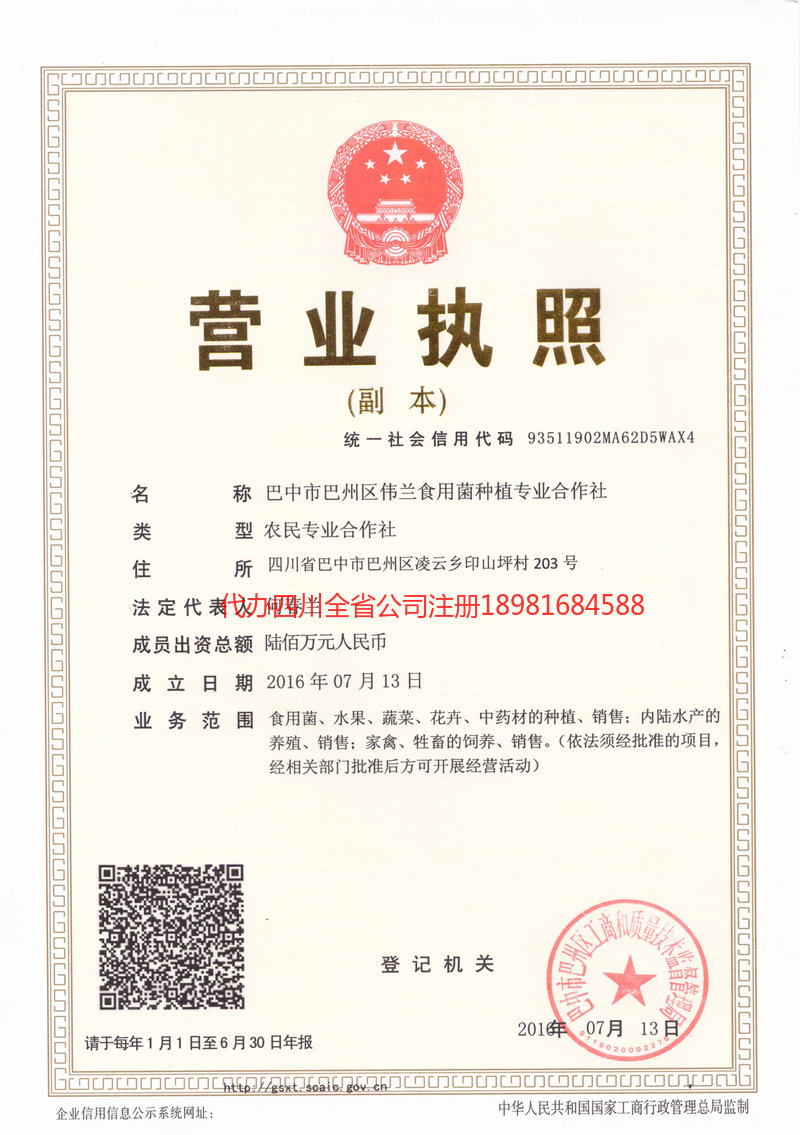 常德常德伟兰食用菌种植专业合作社